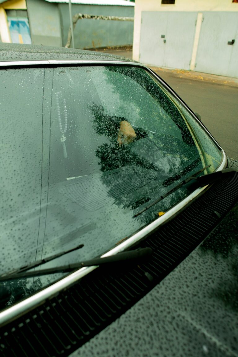 A parked car with a cracked windshield and storm debris nearby after severe weather.